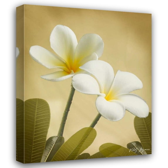 Vitaly Geyman 36x44 Gallery Wrapped Canvas Wall Art Titled - Oriental Plumeria II