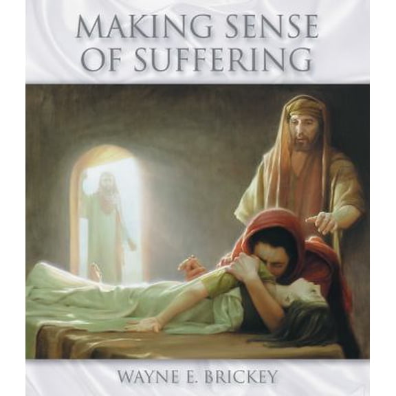 Pre-Owned Making Sense of Suffering (Hardcover) 1570087210 9781570087219