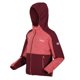 thumbnail image 3 of Regatta - Forro Polar Dissolver VII para Niños/Niñas (Rojo Mineral, Burdeos), 3 of 4