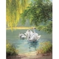 thumbnail image 2 of Weber, Max 26x32 White Modern Wood Framed Museum Art Print Titled - Swan Family II, 2 of 4