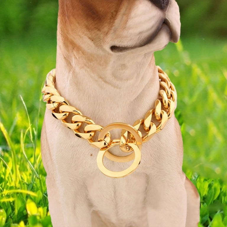 SSBSM Collar Non scalable Anti Chew Stainless Steel Dog Chain Collar for Sports Anti Chew Dog Collar Durable and Safe