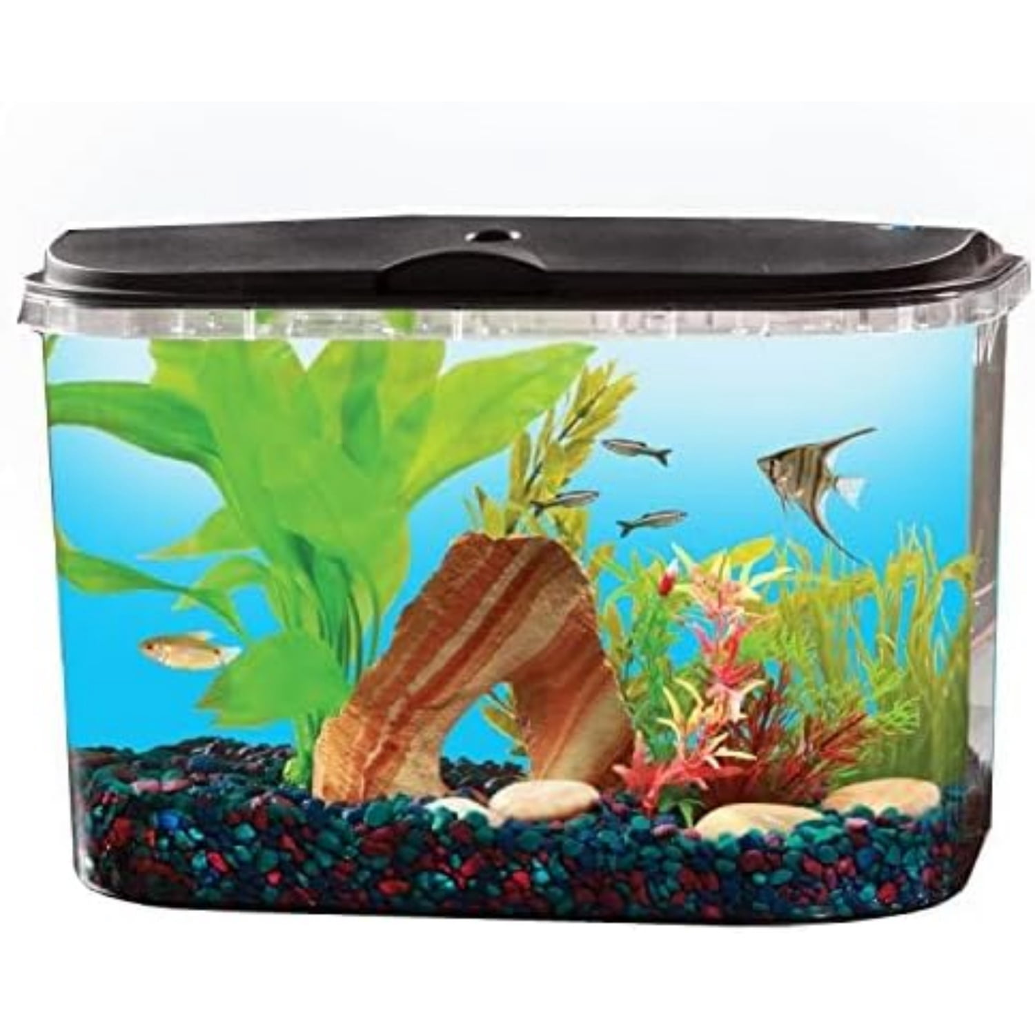 5-Gallon Aquarium Kit with LED Lighting and Power Filter, Ideal for a Variety of Tropical Fish