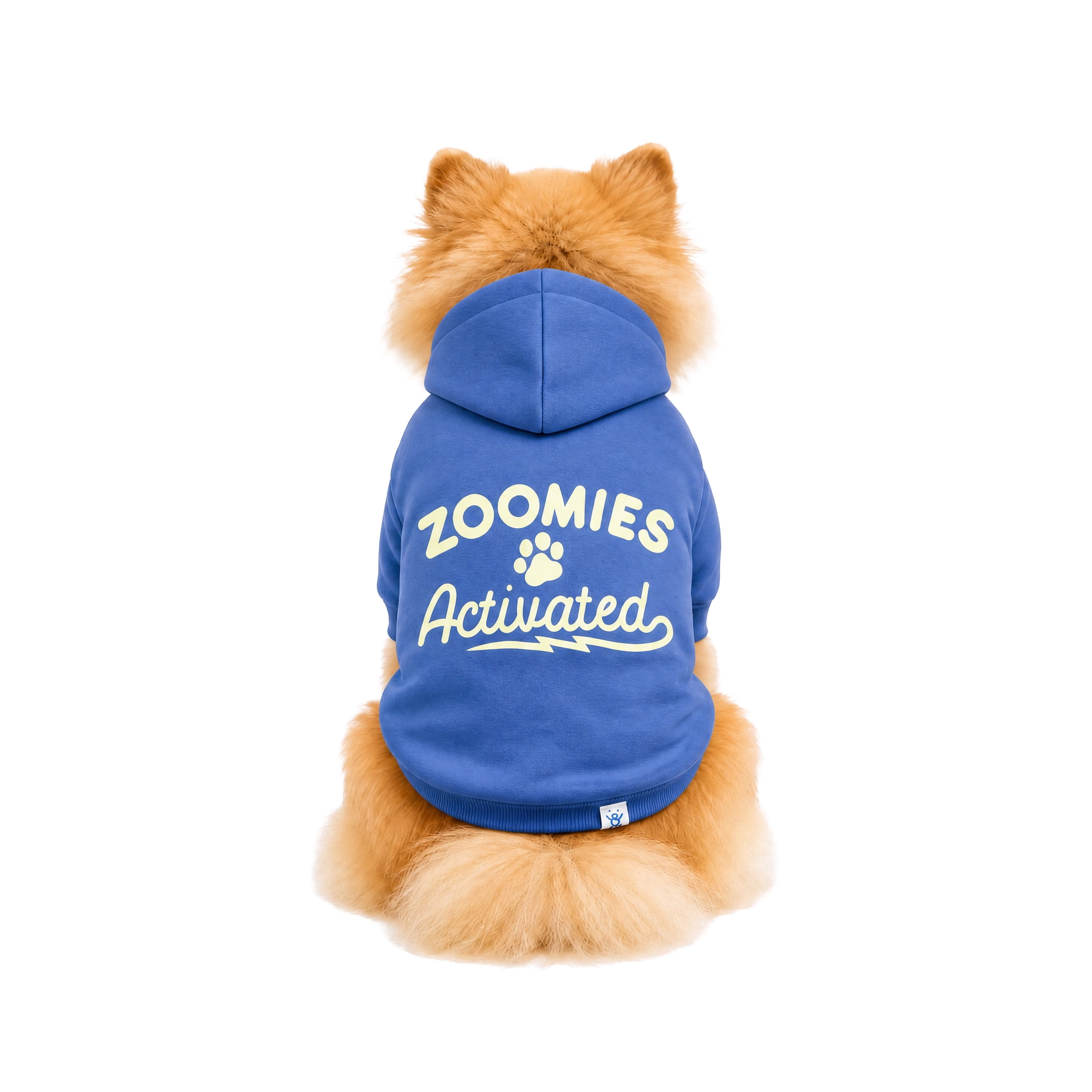 Oodles Zoomie Activated Fall Dog Hoodie, Blue, Small