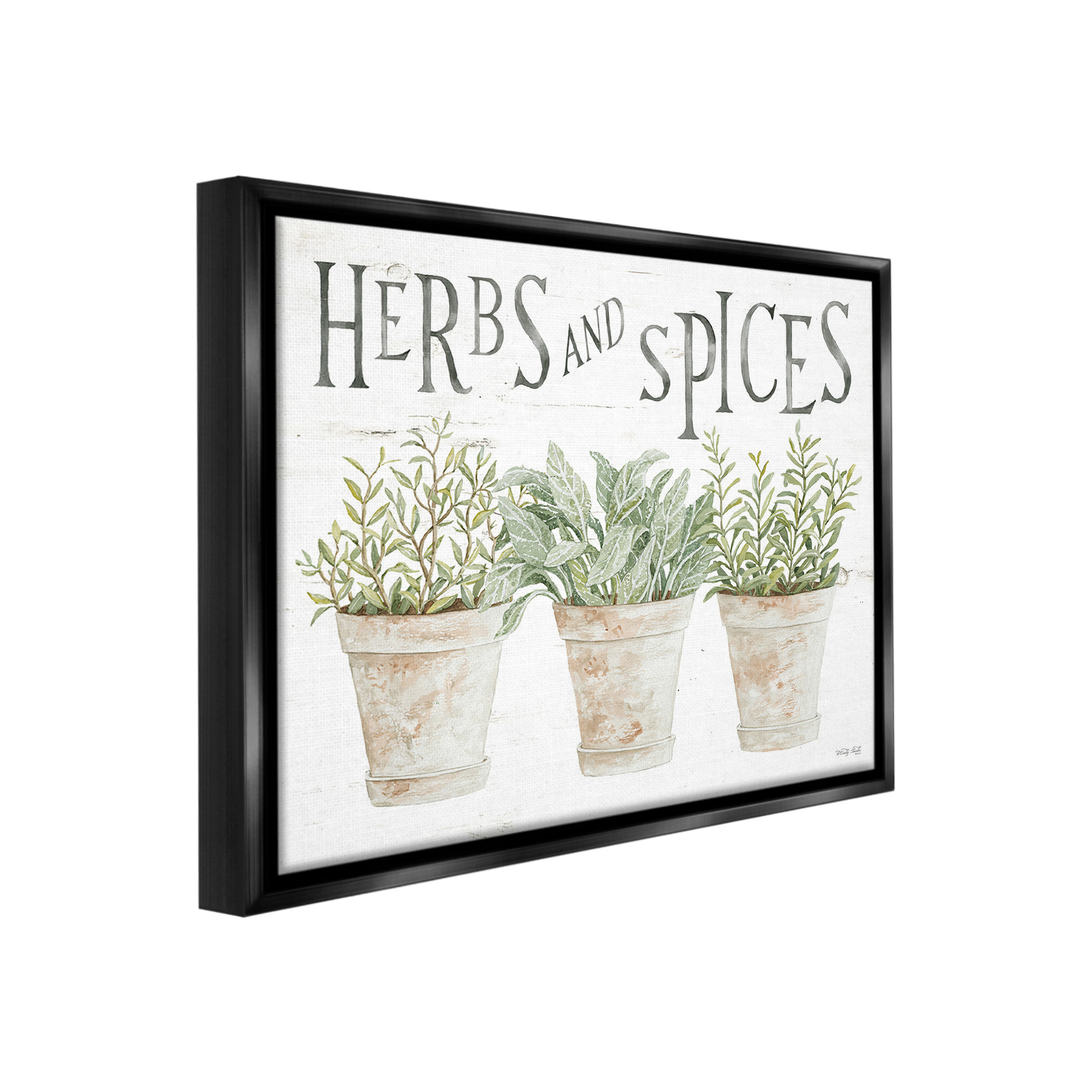 Stupell Industries Country Herbs & Spices Botanical & Floral Painting Black Floater Framed Canvas Art Print Wall Art, 31 x 25