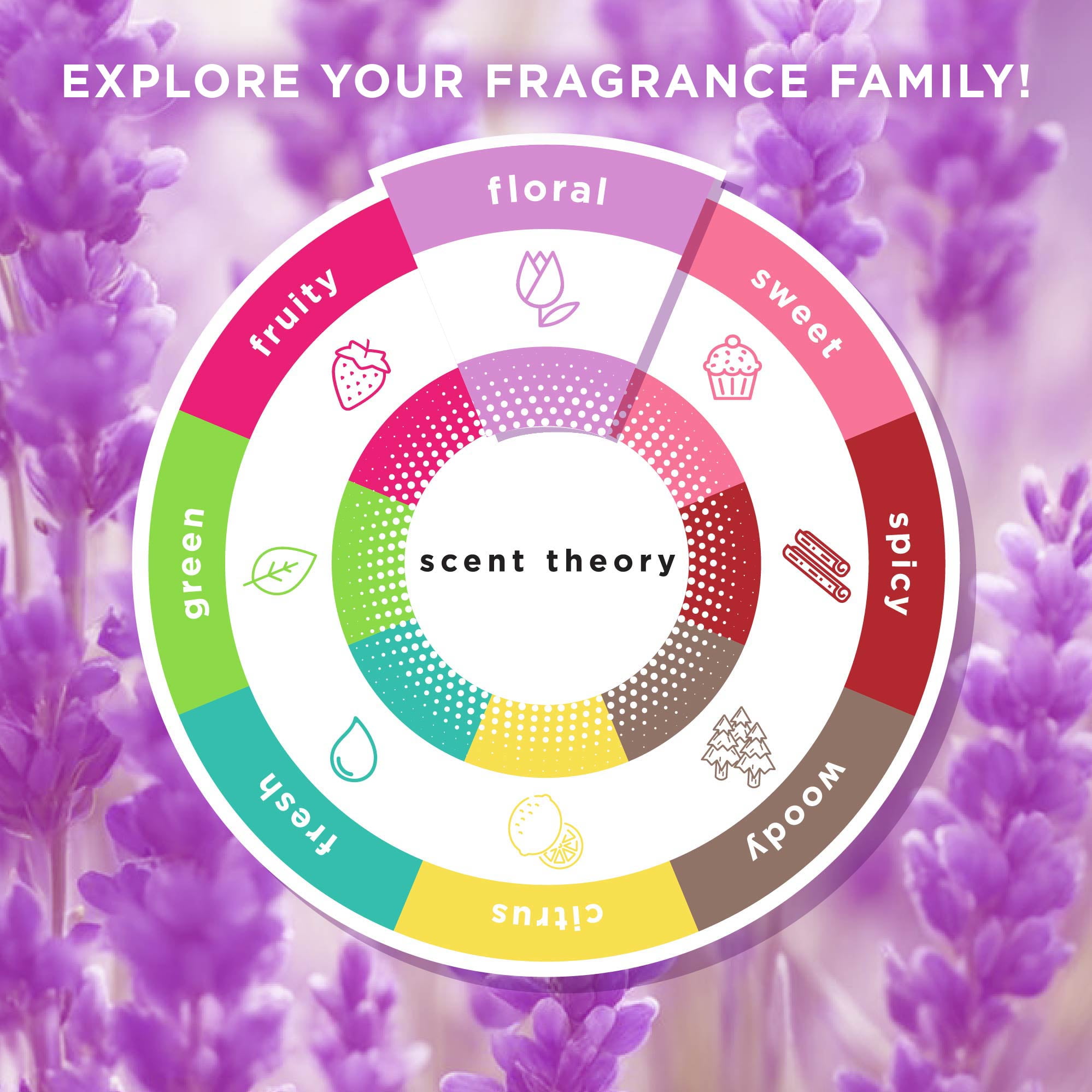 (8 pack) Scent Theory Foaming Hand Soap, Lavender Blooms, 11 fl oz