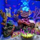 thumbnail image 5 of Decoración de peces de acuario Artificial, anémona de mar de silicona, adorno de peces artificiales, 5 of 8