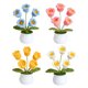 thumbnail image 1 of Kit Inicio Crochet 4 Piezas Plantas en Macetas (lirio Del Valle), 1 of 9