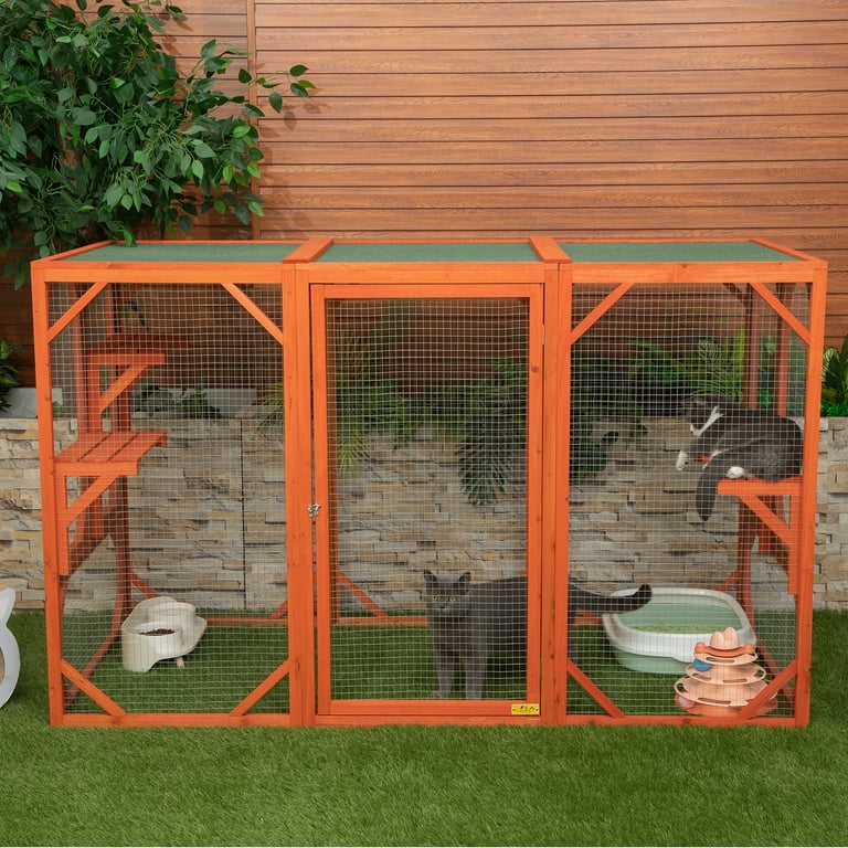 Chicken coop shop catio