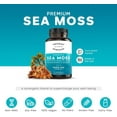 thumbnail image 2 of Thomas' Sea Moss with Burdock & Bladderwrack, 1600mg – Immune & Digestive Support, 120 Ct, 2 of 10