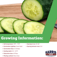 thumbnail image 2 of Harris Seeds - Cucumber Sweet Slice - F1 Variety - Non-GMO 500 Seeds, 2 of 7