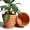 Brown, variant on 8 Inch Clay Pot for Plant with Saucer - 2 Pack Large Terra Cotta Plant Pot with Drainage Hole, Clay Planters Pot, Terracotta Pot for Indoor Outdoor Plant