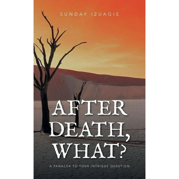 After Death, What?: A Panacea to Your Intrigue Question (Paperback)