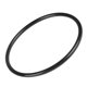 thumbnail image 1 of Filter Head O-Ring for SwimClear C100S/C150S/C200S, 1 of 5