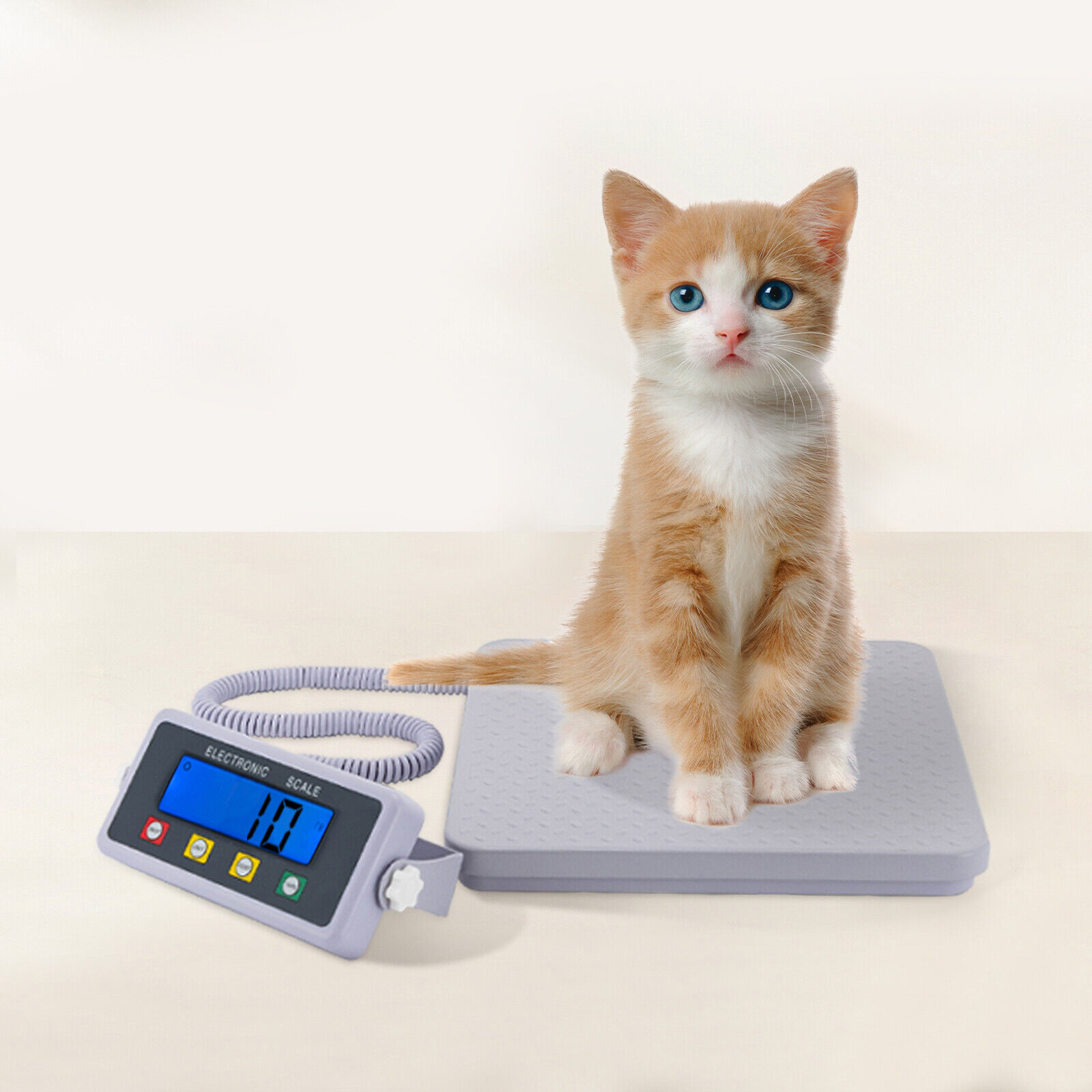 300kg/661.39lbs Medical Floor Scale with LCD Display, TARE Function, Durable ABS Construction, for Home, Gym, Clinic Use