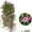 Purple, variant on Artificial Hanging Flowers, Faux Morning Glory Hanging Basket, Realistic Plastic Artificial Plant Basket, Artificial Phalaenopsis Hanging Planter for Garden Porch Balcony Garden Decor, 29.5In/1 Pack