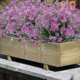 thumbnail image 2 of 8 paquetes de flores artificiales para exteriores, arbustos, plantas resistentes a los rayos UV, vegetación de plástico sintético (hy), 2 of 4
