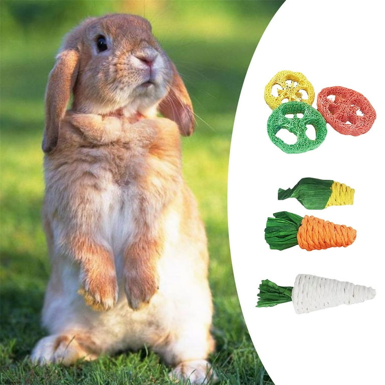 Bunny teeth care 2025