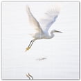 thumbnail image 1 of Picture-Tiles.com: Bird Ceramic Tile Wall Mural WAL500133-66XL. 72"W x 72"H using (36) 12" x 12" Ceramic Tiles-Satin Finish, 1 of 3