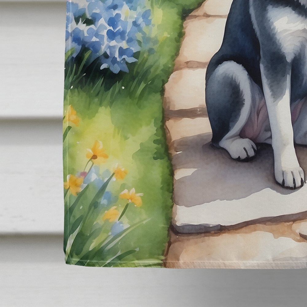 Alaskan Klee Kai Spring Garden House Flag 28 in x 40 in