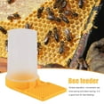 LBNGJZ Supplies Feeding Plastic Bee Drinker Tool - Essential Beekeeping ...