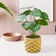 thumbnail image 5 of Plantas artificiales en maceta, bonsái verde, plantas pequeñas en maceta para estante de oficina, cocina, decoración interior y exterior estilo c Macarena Plantas en macetas falsas, 5 of 8