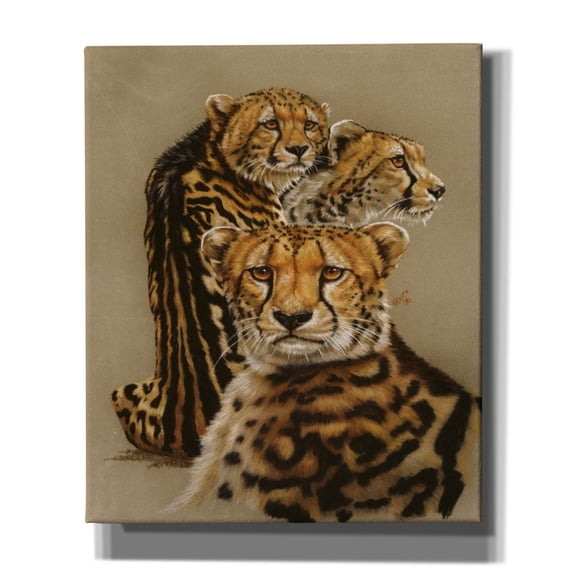 Epic Graffiti 'Majestic Vagabond' by Barbara Keith, Canvas Wall Art, 20"x24"