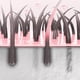 thumbnail image 4 of Fiudx Pinza para El Cabello Liso, Plancha de Pelo de Doble Uso, Dispositivo para El Cuidado Del Cabello con Control de Temperatura, Herramienta de Peinado Profesional, Uso En Seco y Húmedo, Experienc, 4 of 6
