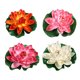 thumbnail image 1 of EeaseMX Amosfun - 4 piezas de 17 cm de simulación de nenúfar flotante de plástico con forma de flor de loto para estanque, decoración de pecera (blanco, naranja, rojo y rosa), 1 of 7