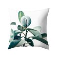 thumbnail image 2 of Housse de Coussin Décorative Feuille de Cactus Palmier 45x45cm pour Maison Extérieur, 2 of 7