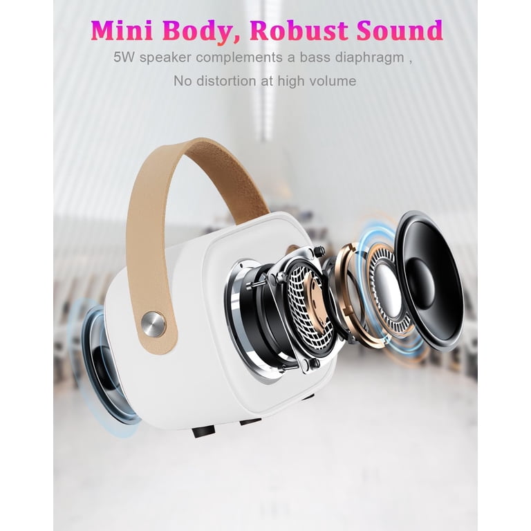 Mini Karaoke Machine With Wireless Microphones - Portable Bluetooth Speaker For Kids & Adults