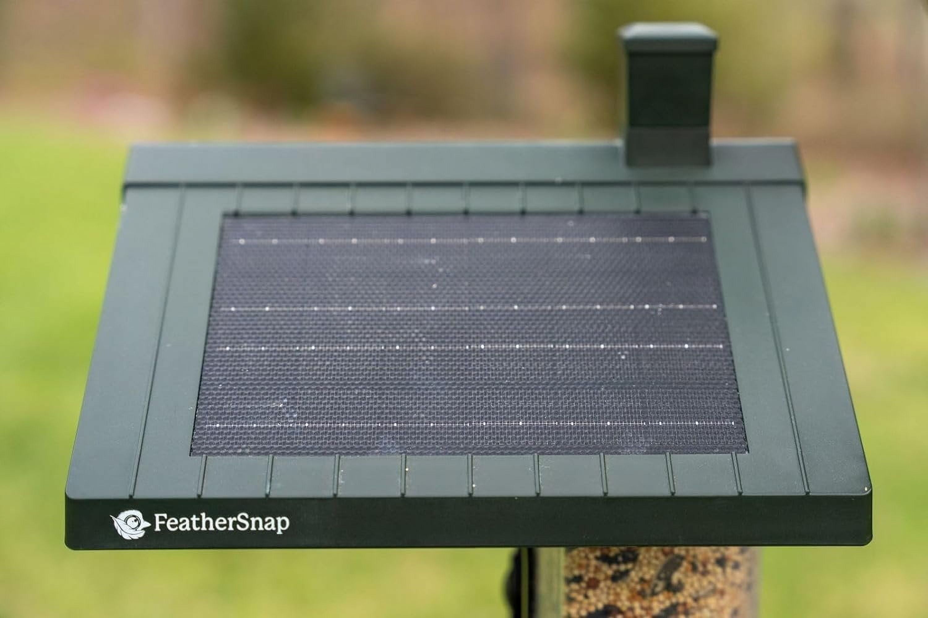 Smart Birdfeeder with AI Identification and Wi-Fi Solar Powered, Captures HD Pictures and Videos Sent Directly to Your Phone Bird Feeder, Pole, & Starter Kit