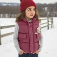 thumbnail image 2 of Lovzfmll Toddlers Kids Boys Girls Bear Print Puffer Vest, Cropped Oversized with Plush Lining, Cute Warm Winter Coat for 1-12 Years, 2 of 4
