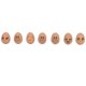 thumbnail image 2 of 2025 Latest Model 7pcs Fake Eggs Rubber Lifelike Elastic Expression Pattern, 2 of 3