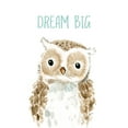 thumbnail image 2 of Robinson, Carol 12x14 White Modern Wood Framed Museum Art Print Titled - Dream Big Owl, 2 of 4