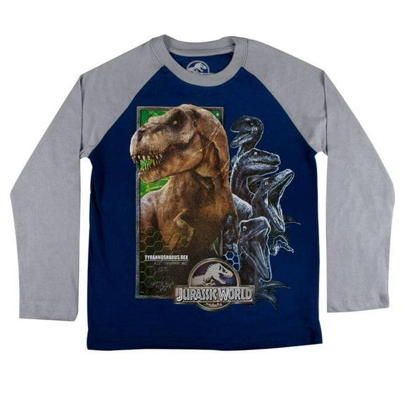 Jurassic World - Honey Comb Dinosaur Collage Youth Raglan - Youth Large