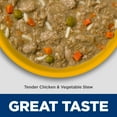 thumbnail image 6 of Hill's Science Diet Sensitive Stomach & Skin Tender Chicken Wet Dog Food, 12.5oz Can 12pk, 6 of 8
