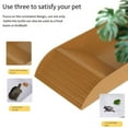 thumbnail image 3 of mmirethe Prevent Falls With Tortoise Accessories Featuring Anti Slip Ramps Making Choice For Amphibians Brown Small, 3 of 6