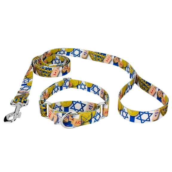 Country Brook Petz® Happy Hanukkah Martingale Dog Collar and Leash Limited Edition, Small