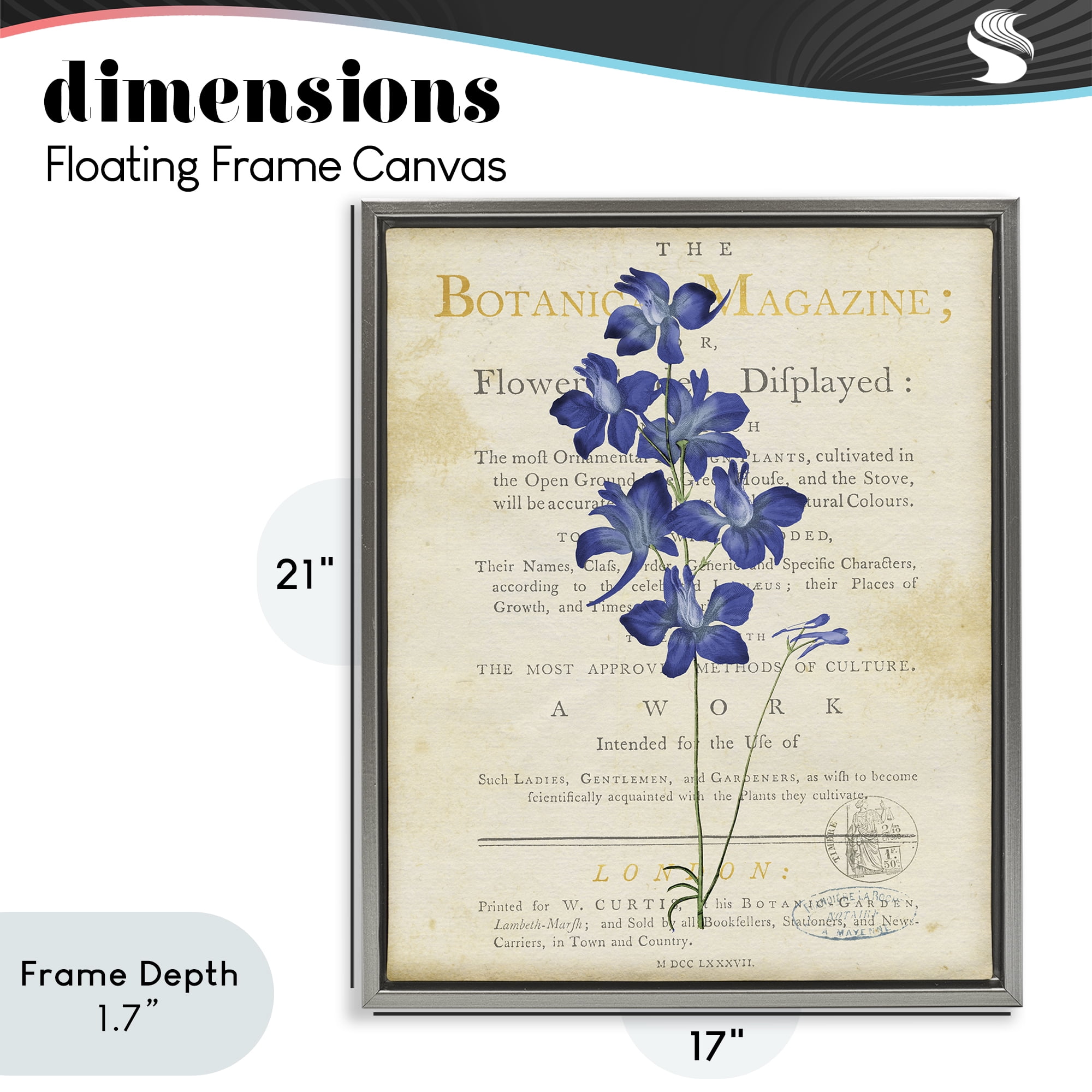 Stupell Industries Natural Botanic Garden Flower Gray Framed Floater Canvas Wall Art, design by Susan Arnot