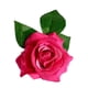 thumbnail image 2 of GOOHOCHY 3 horquillas de rosas hawaianas, broches de flores para fiestas, accesorio para hacer tú mismo, adorno para el cabello (rojo claro), 2 of 8