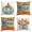 Blue, variant on Sm:)e Thankful Grateful Blessed Fall Thanksgiving Throw Pillow Covers Set of 4, 18 x 18 Inch Blue Pumpkin Floral Harvest Autumn Home Decorations for Sofa Couch