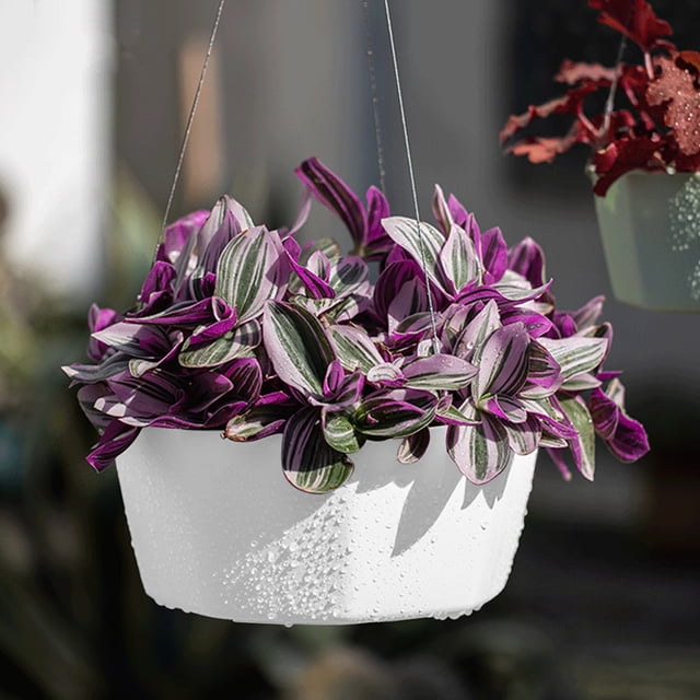 Modern White Plastic Hanging Wall and Ceiling Planter with Adjustable Ropes for Indoor Plants and Home Decor
