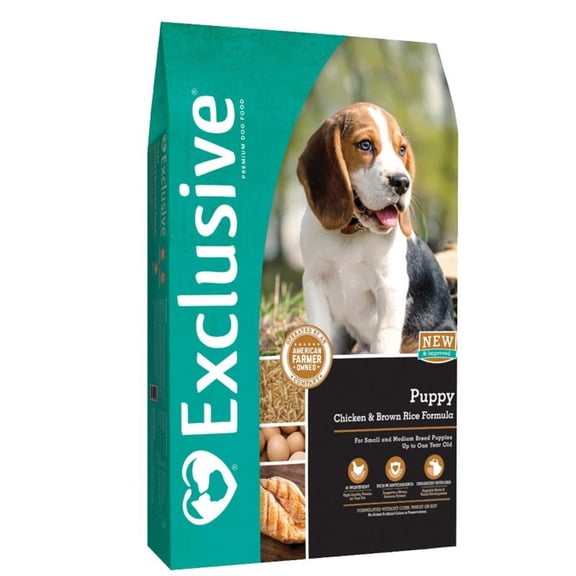 (C)Exclusive Signature Puppy C BR 5lb(6)