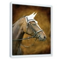 thumbnail image 4 of Close Up Portrait Of Brown Horse With White Ears 12 in x 20 in Framed Photography Canvas Art Print, by Designart, 4 of 5