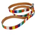 thumbnail image 4 of MOVTOTOP Colorful Striped Canvas Rainbow Lead Leash Leather Dog Set Leash Handle Rope Size M, 4 of 4