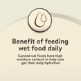 thumbnail image 5 of (12 pack) Special Kitty Whitefish & Tuna Dinner Pate Wet Cat Food, 5.5 oz Can, 5 of 13