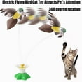 WNGZCNG Exciting Lifelike Flying Bird Cat Toy 2023 Edition with