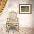 thumbnail image 3 of Jones, Adam 14x11 Gold Ornate Wood Framed with Double Matting Museum Art Print Titled - Lupine flowers on hillside-Dolason Prairie-California, 3 of 4