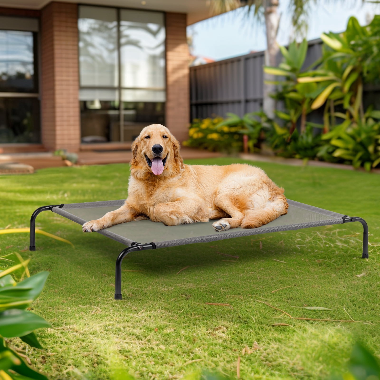 ZephyPaws Cooling Elevated Raised Dog Cots Bed for Large Dog,Portable Pet Hammock for Indoor,Gray