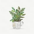 thumbnail image 3 of HM Design 20x20 Black Modern Framed Museum Art Print Titled - Botanical Mug II, 3 of 5